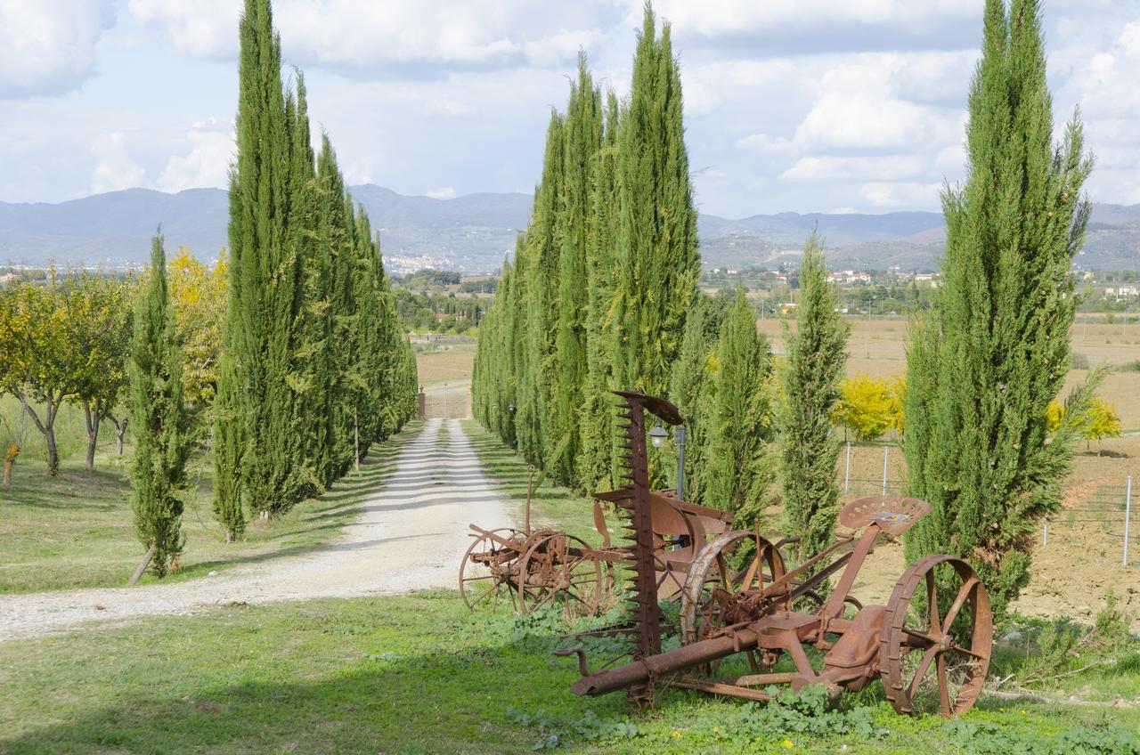 Вилла Fattoria Le Giare Agriturismo Кортона Экстерьер фото